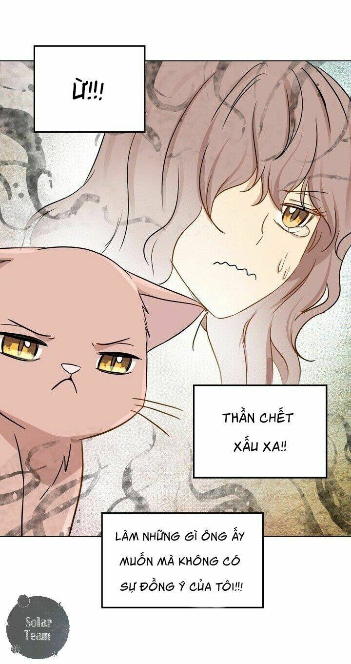 Một Cuộc Sống Kỳ Lạ: Chapter 1