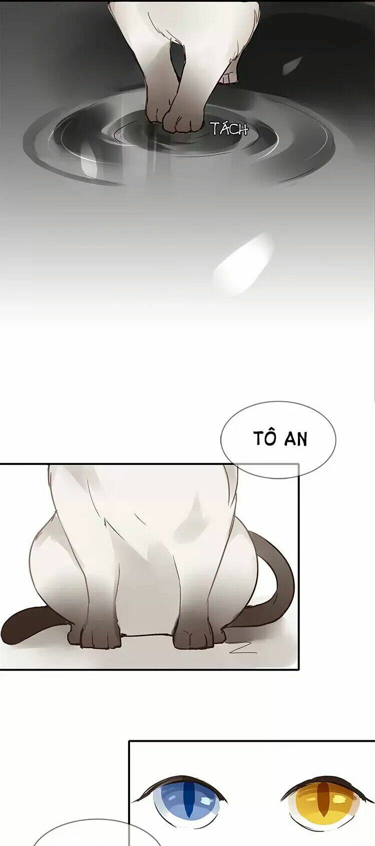 Nghe Thấy Thời Gian Rung Động: Chapter 1