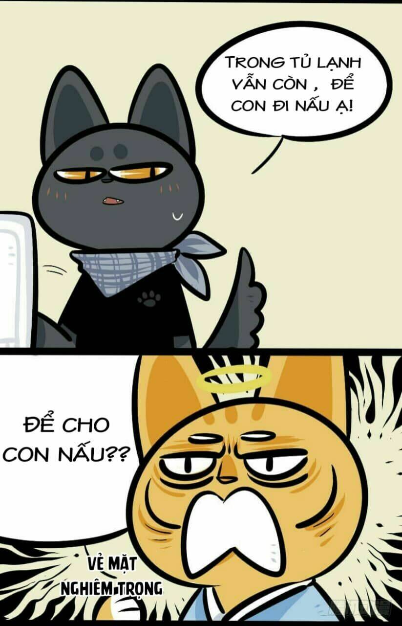 Đời Không Như Mình Tưởng: Chapter 10