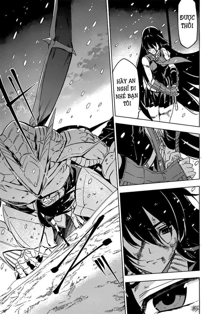 Akame Ga Kiru: Chapter 76.5