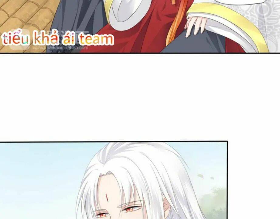 Tước Kiều Tiên: Chapter 2.1