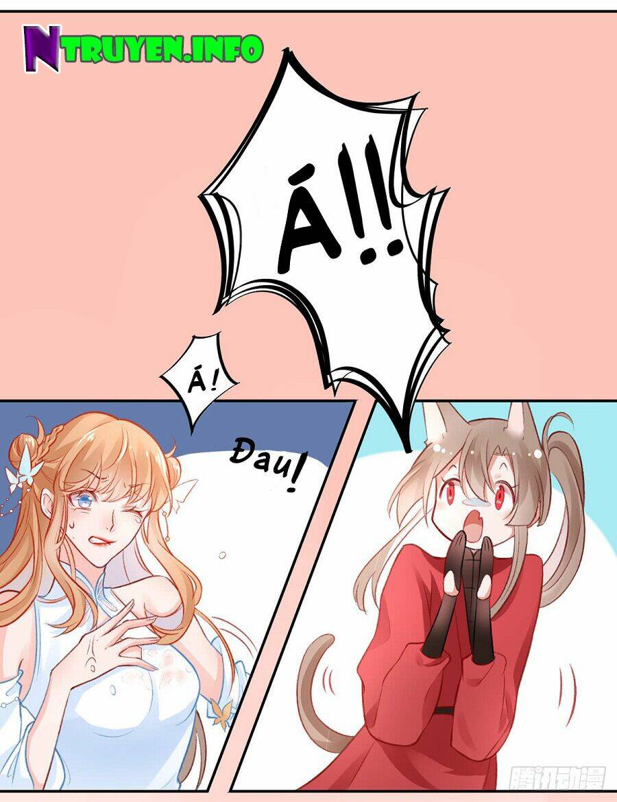 Hoàng Phi 9000 Tuổi: Chapter 15