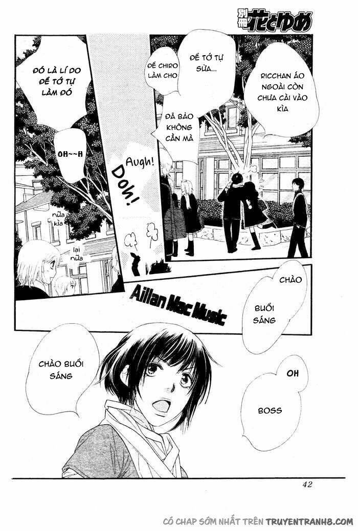 Orange Chocolate: Chapter 5