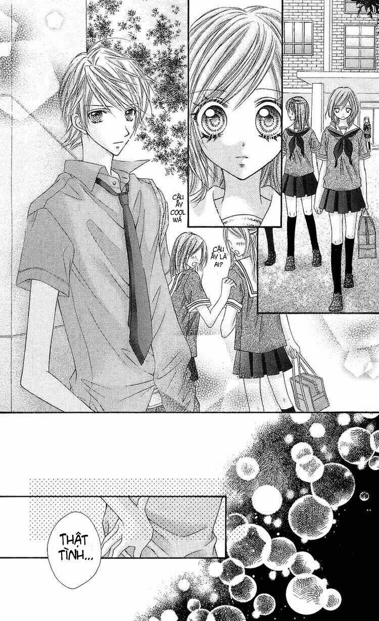 Thiên Đường Lay Động: Chapter 8