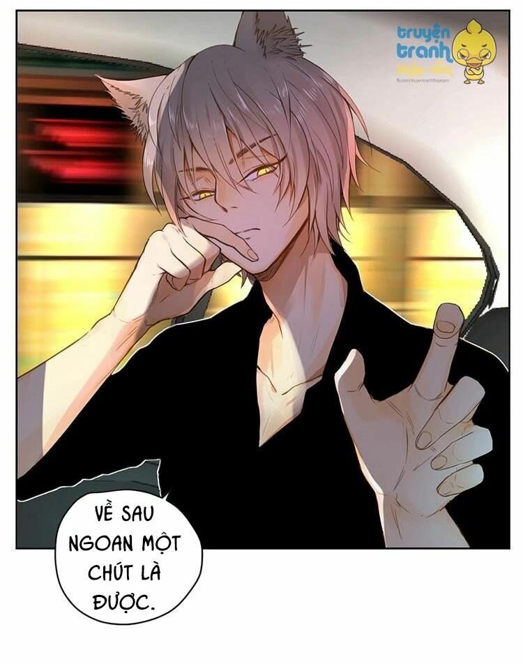 Cứu mạng ! Loài mèo thống trị thế giới rồi !: Chapter 26