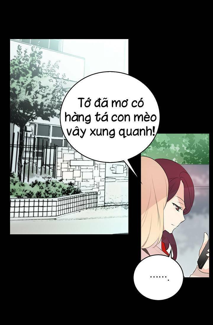 Cô Dâu Của Miêu Hoàng Tử: Chapter 3