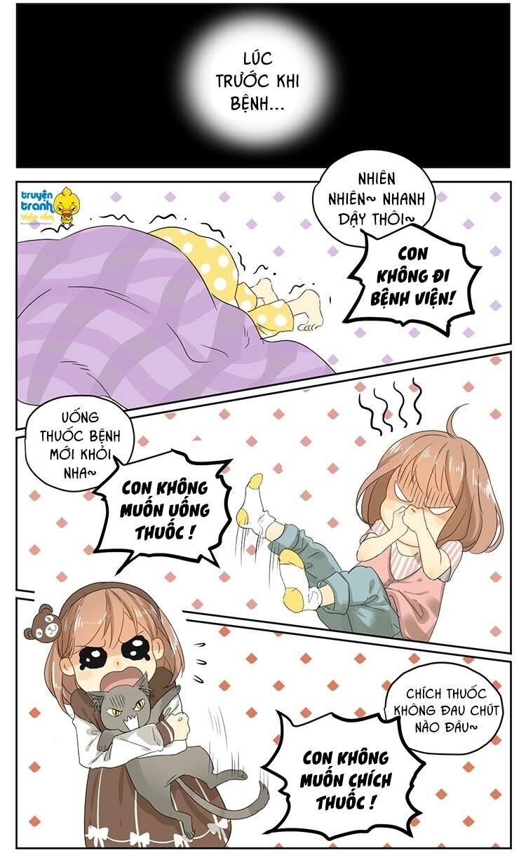 Cứu mạng ! Loài mèo thống trị thế giới rồi !: Chapter 14
