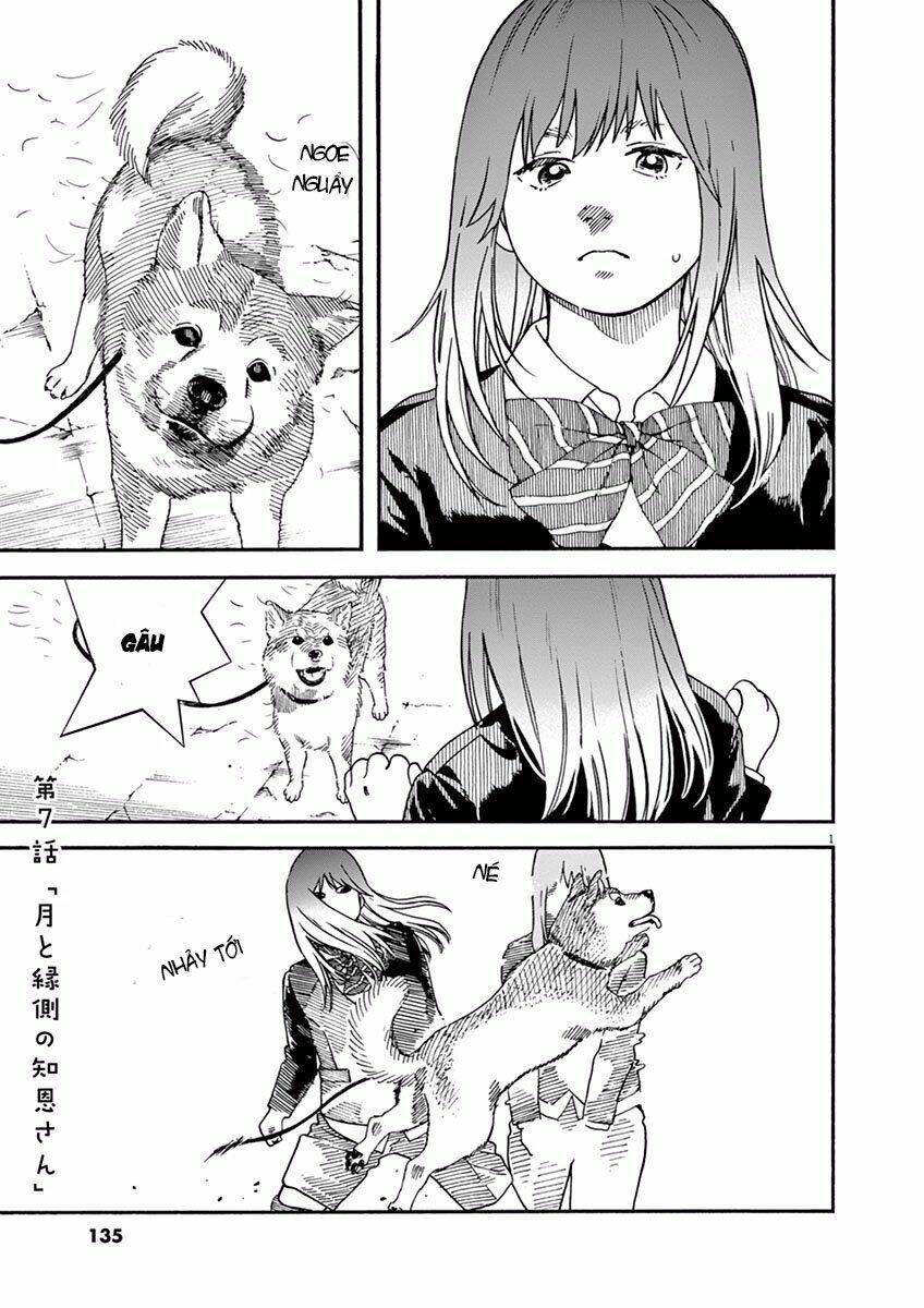 Neko No Otera No Chion-San: Chapter 7