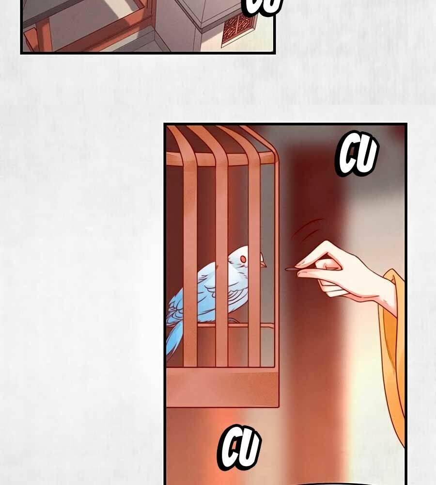 Hoạn Phi Hoàn Triều: Chapter 92