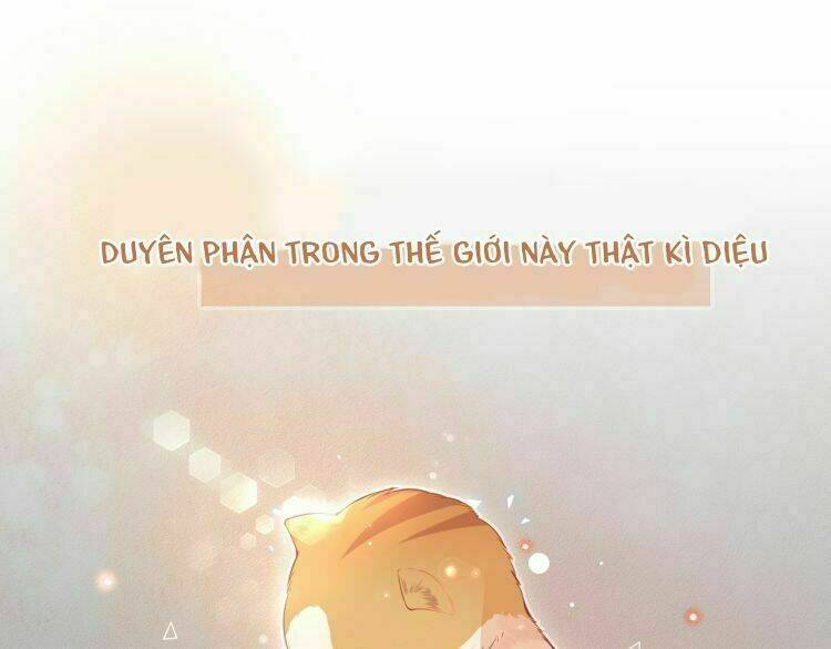 Bên Anh Mới Là Cả Thế Giới: Chapter 0