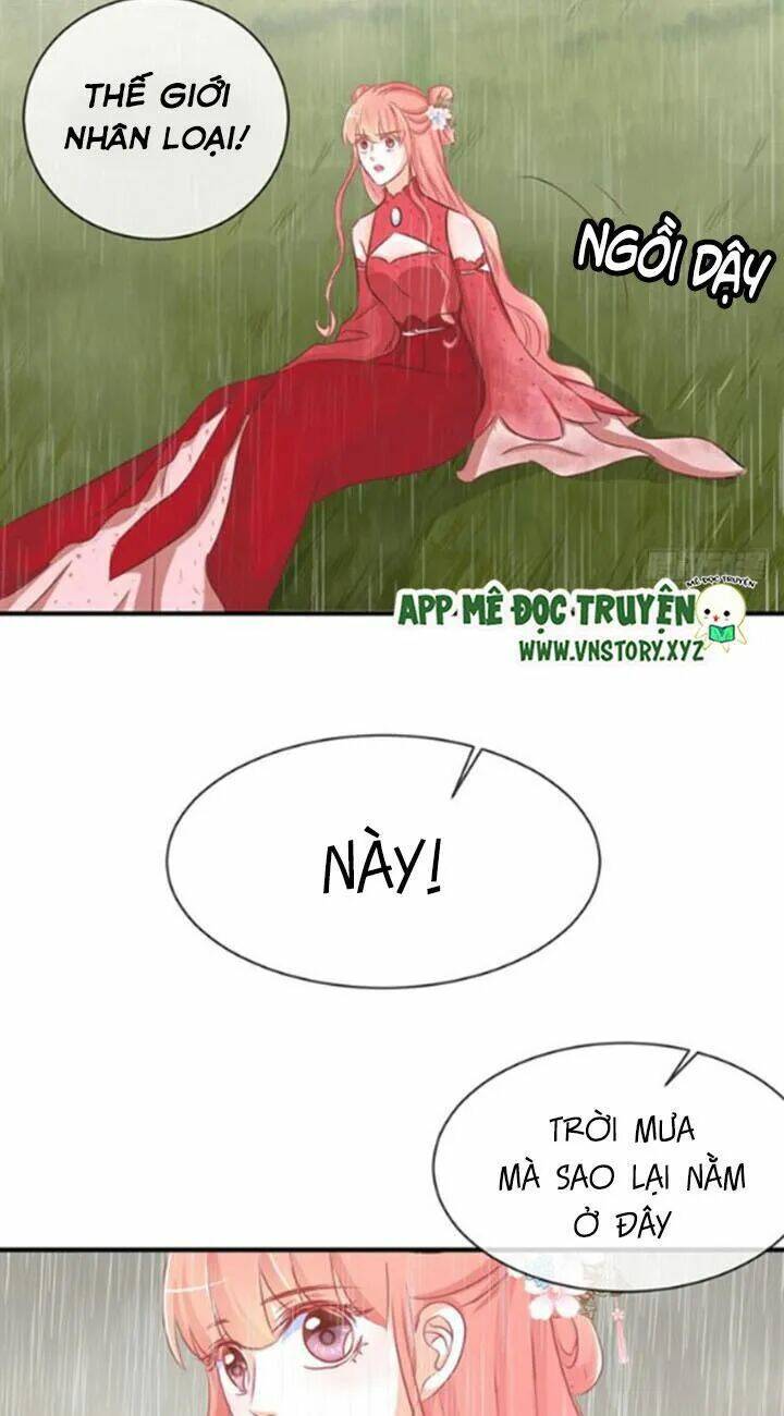 Cẩm Lý Thiếu Nữ Của Tôi: Chapter 68