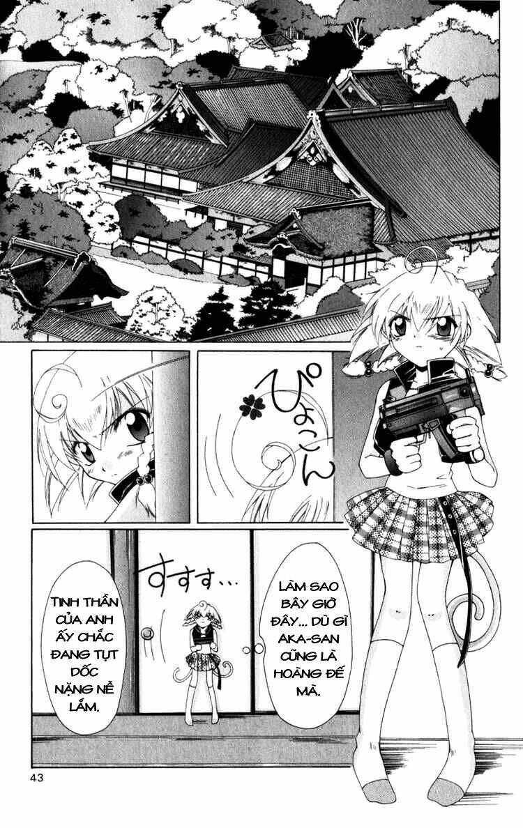 Record of Fallen Vampire: Chapter 5