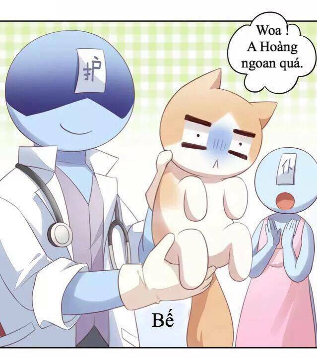 Dưới Móng Vuốt Mèo: Chapter 16