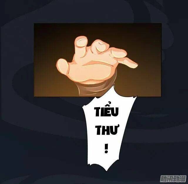 Tuyệt Thế Luyện Đan Sư: Chapter 15