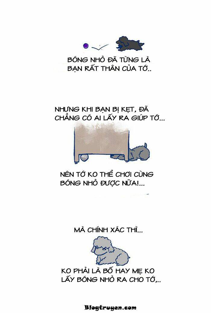 My Young Cat And My Old Dog: Chapter 15