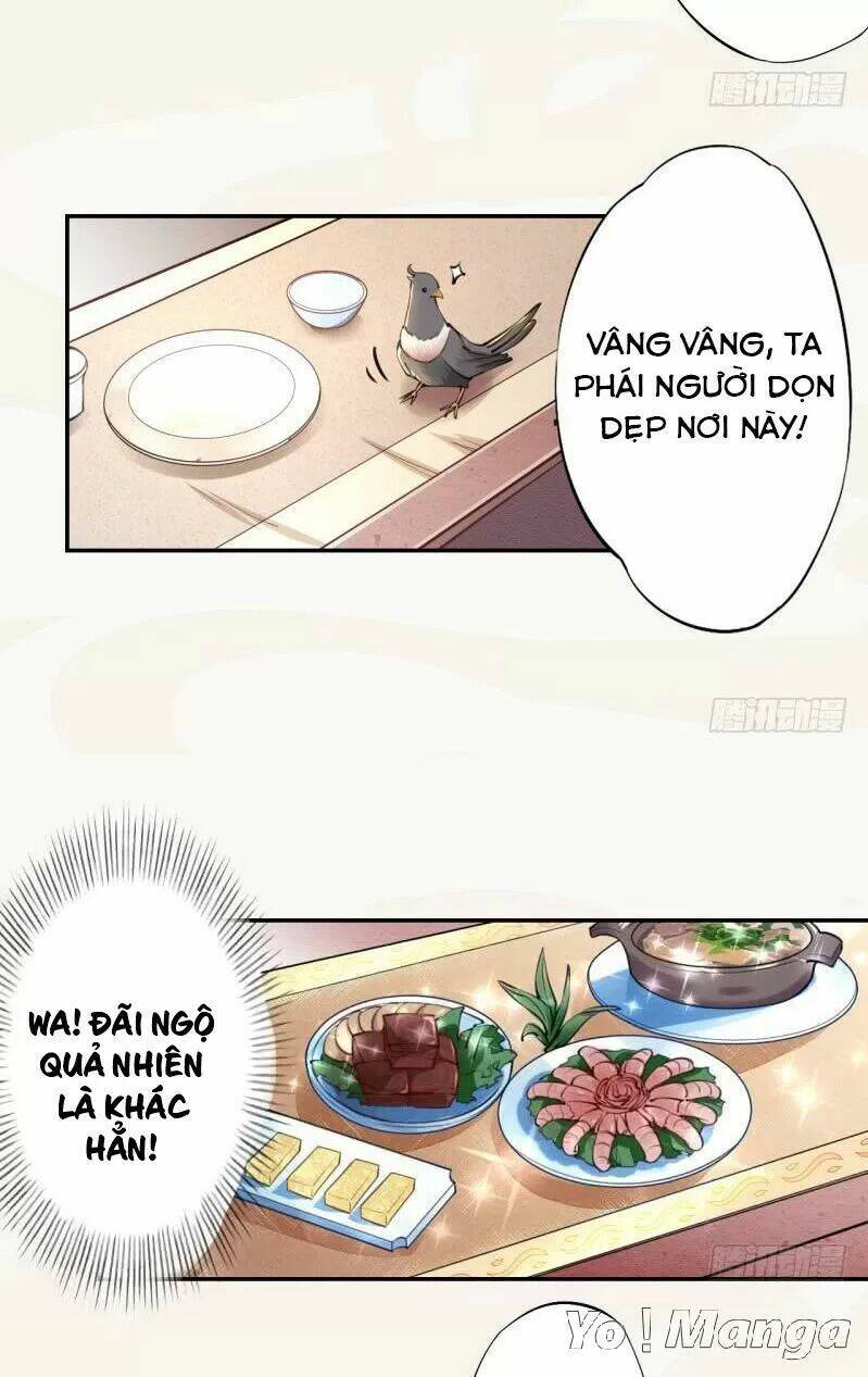 Tuyệt Thế Luyện Đan Sư: Chapter 40