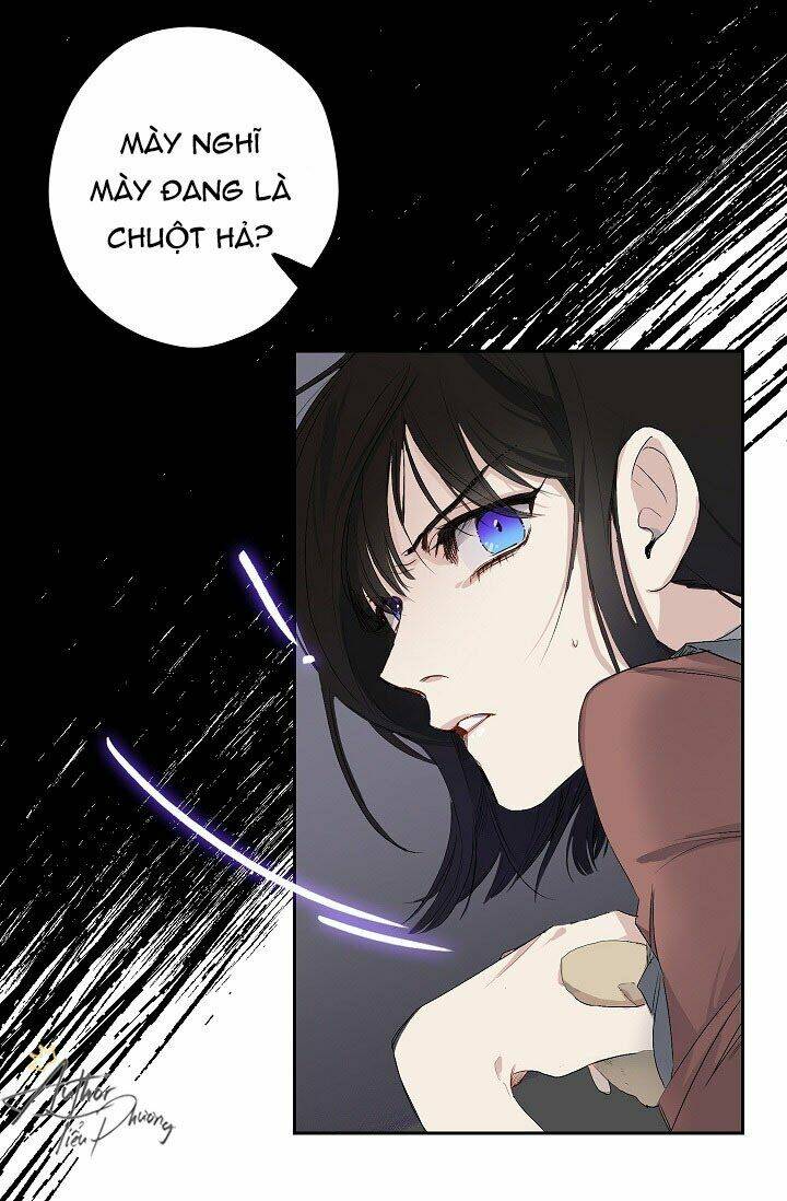 Tình Điên Dại: Chapter 2
