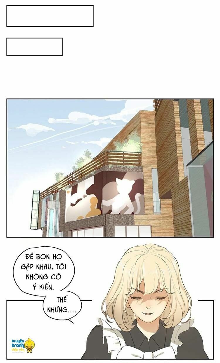 Cứu mạng ! Loài mèo thống trị thế giới rồi !: Chapter 27