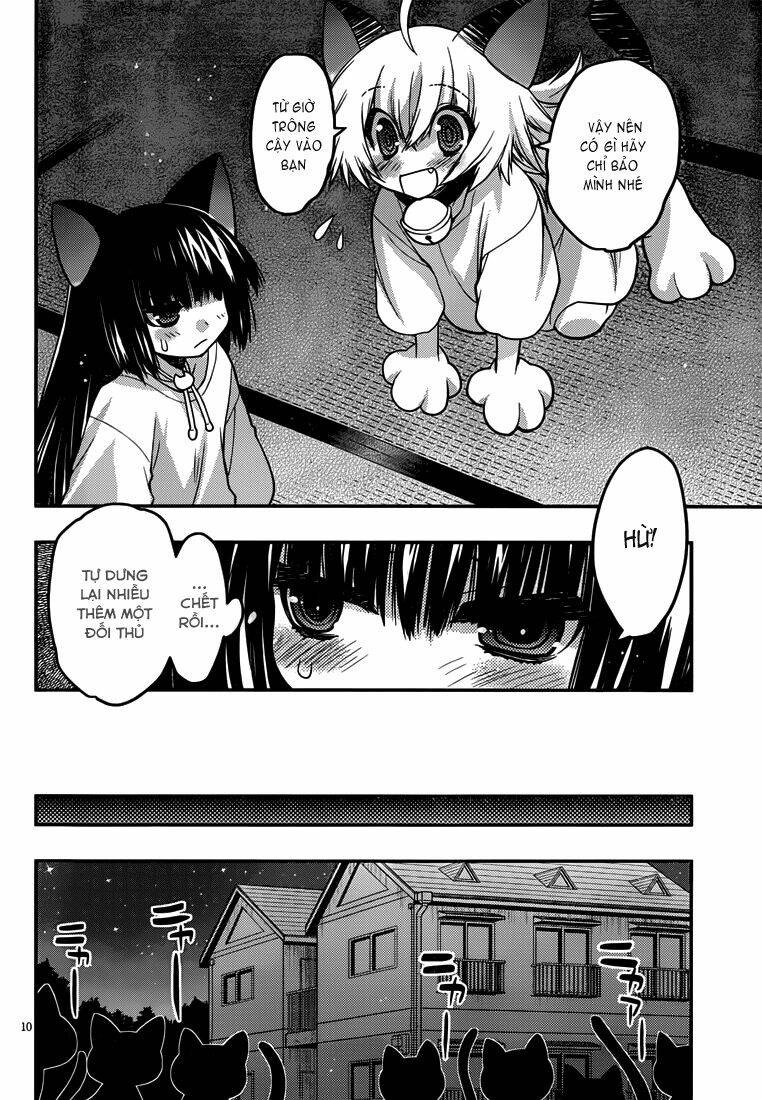 Tamanyan: Chapter 4