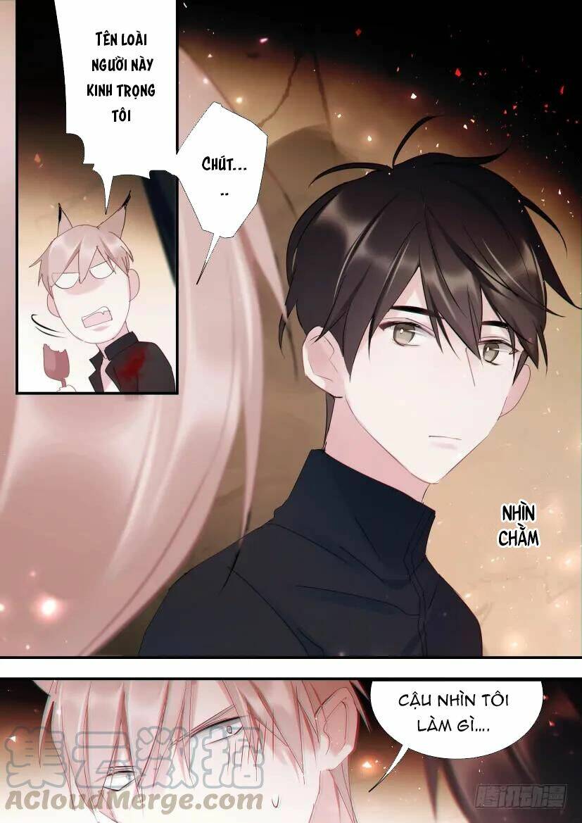 Ảnh Đế X Ảnh Đế: Chapter 95