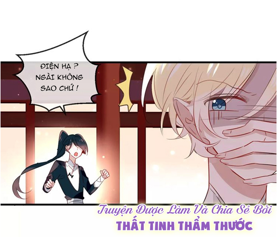 Ngô hoàng tại thượng: Chapter 4