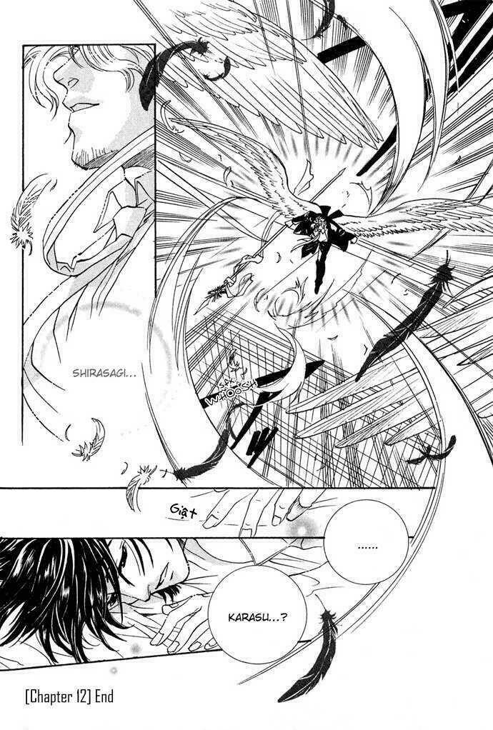 Innocent Bird: Chapter 12