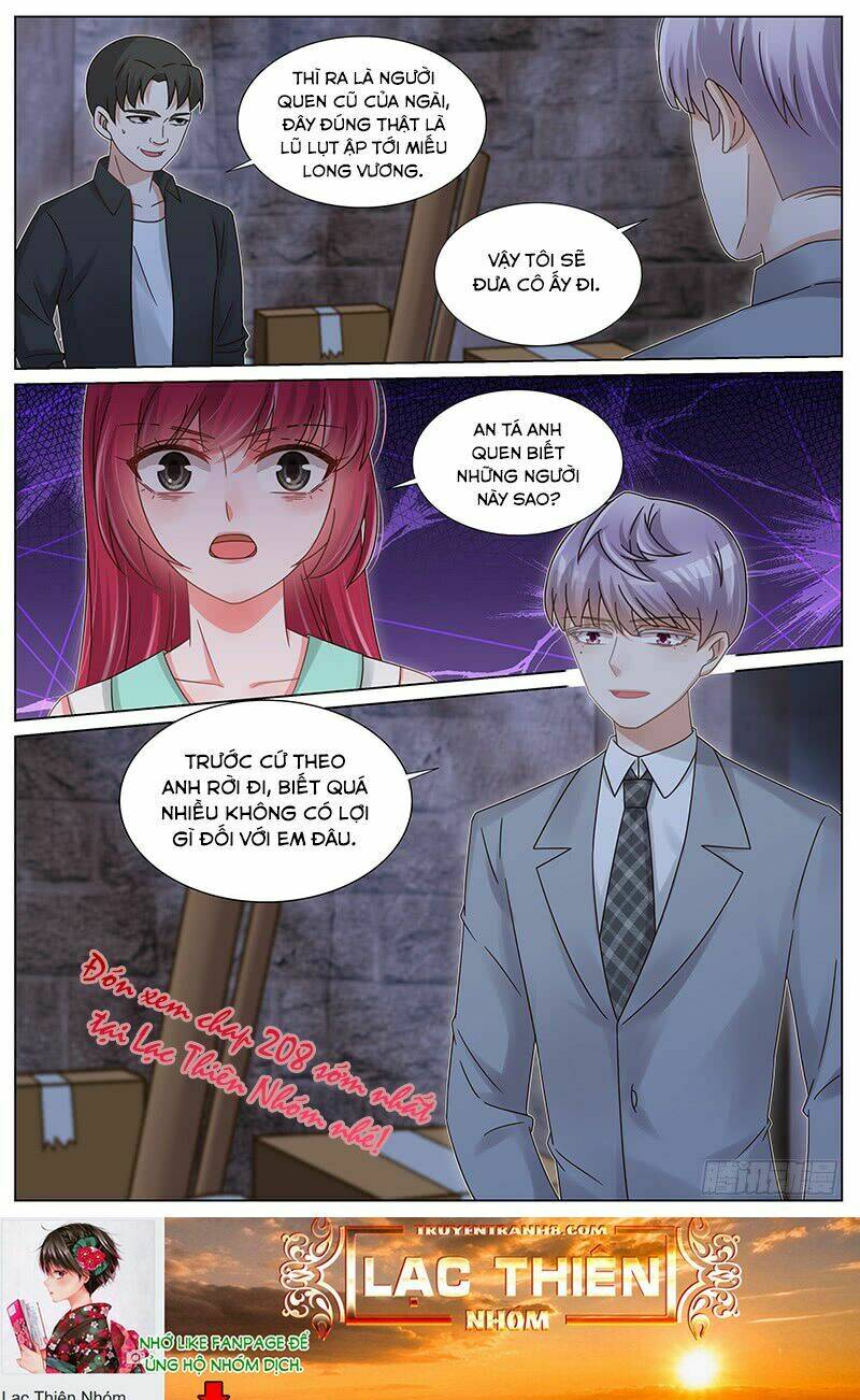 Vương Bài Giáo Thảo: Chapter 207