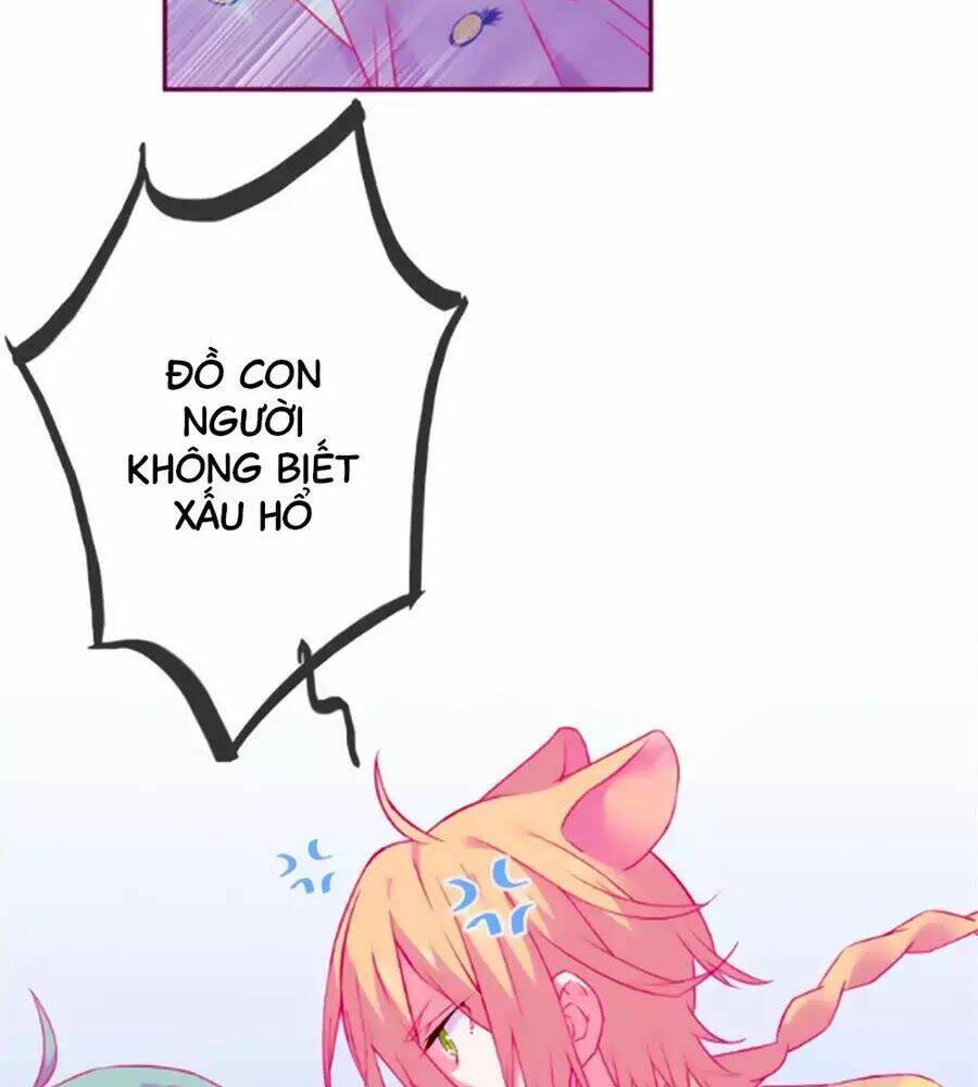 Đừng Nghịch, Ta Chỉ Muốn Yên Tĩnh: Chapter 64