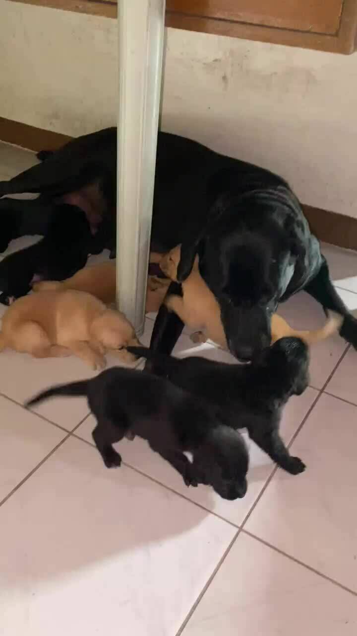 Ame To Kimi No Mukou: Chapter 12