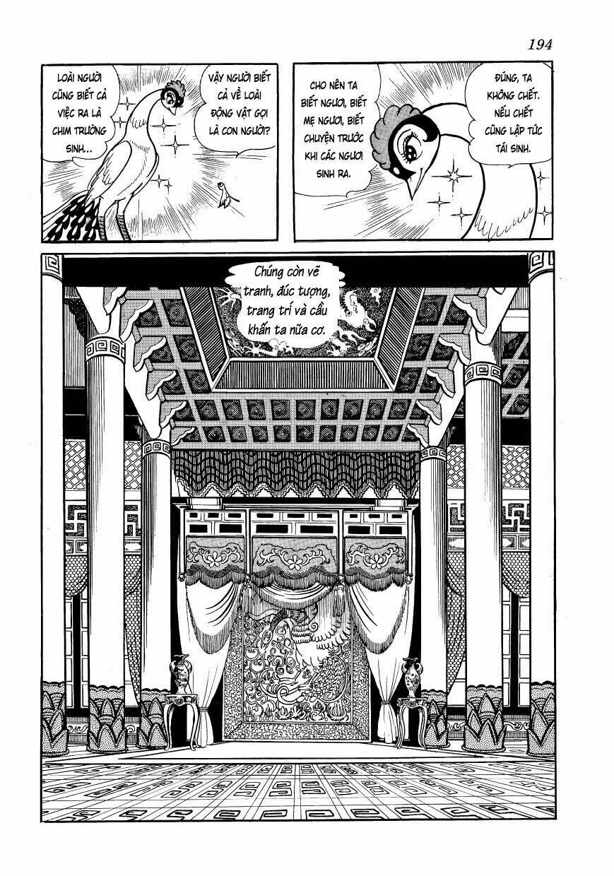 Chim Lửa: Chapter 48