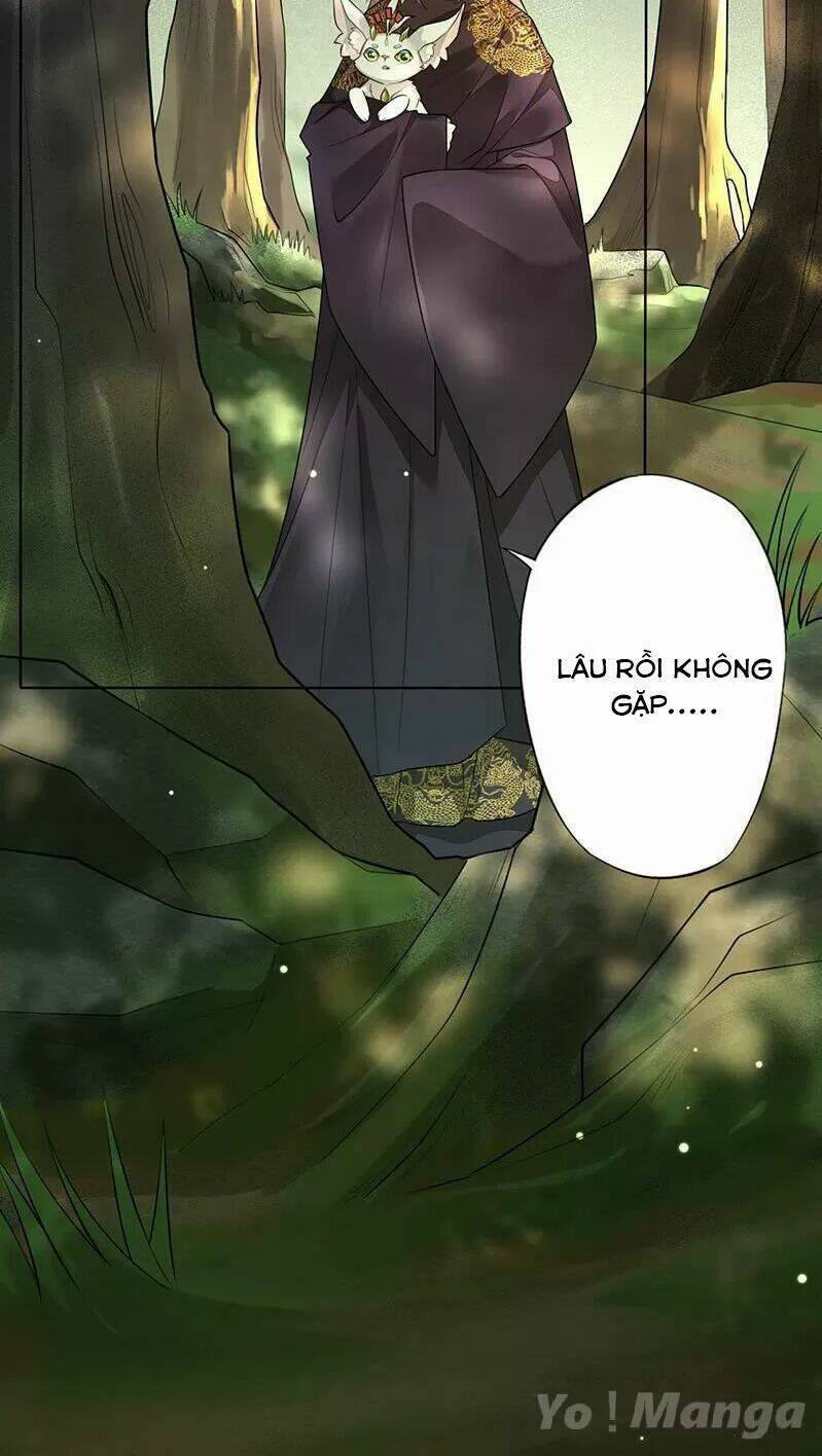 Tuyệt Thế Luyện Đan Sư: Chapter 140