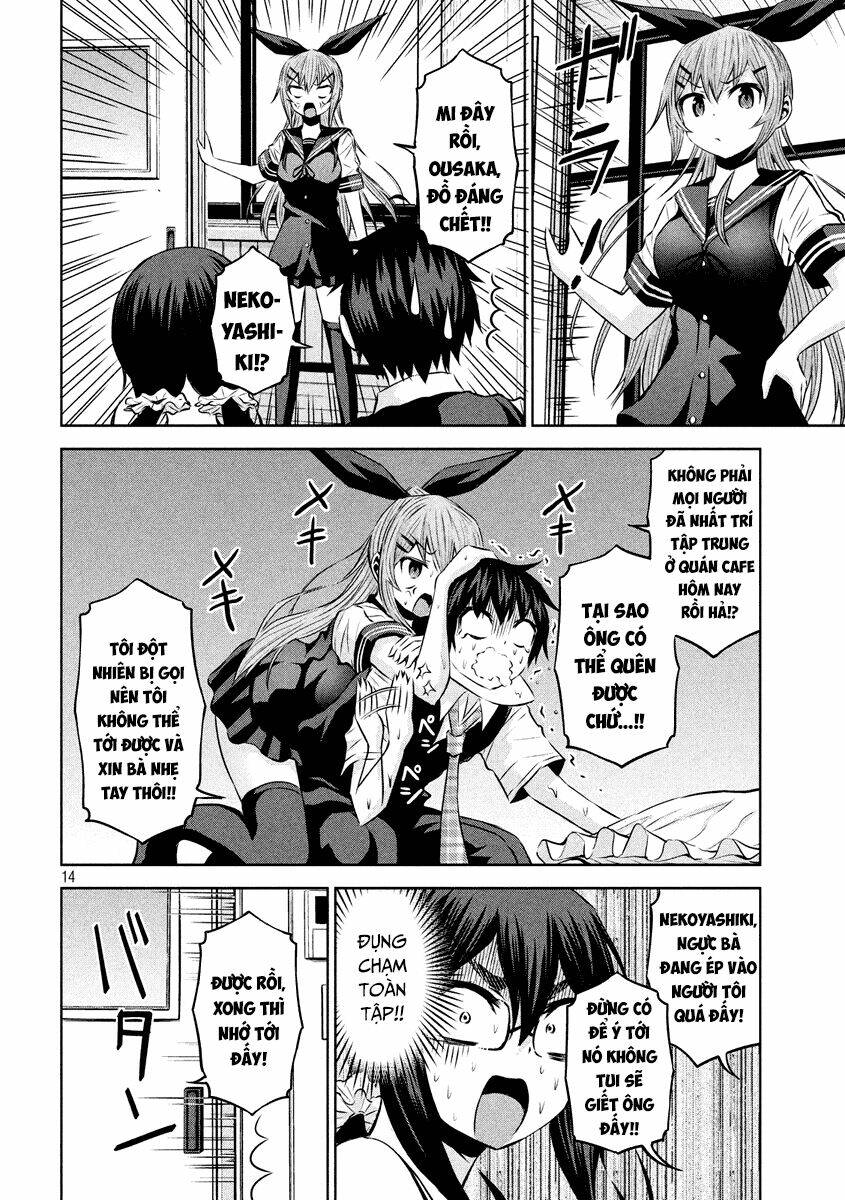 Chiko-Tan, Kowareru: Chapter 19