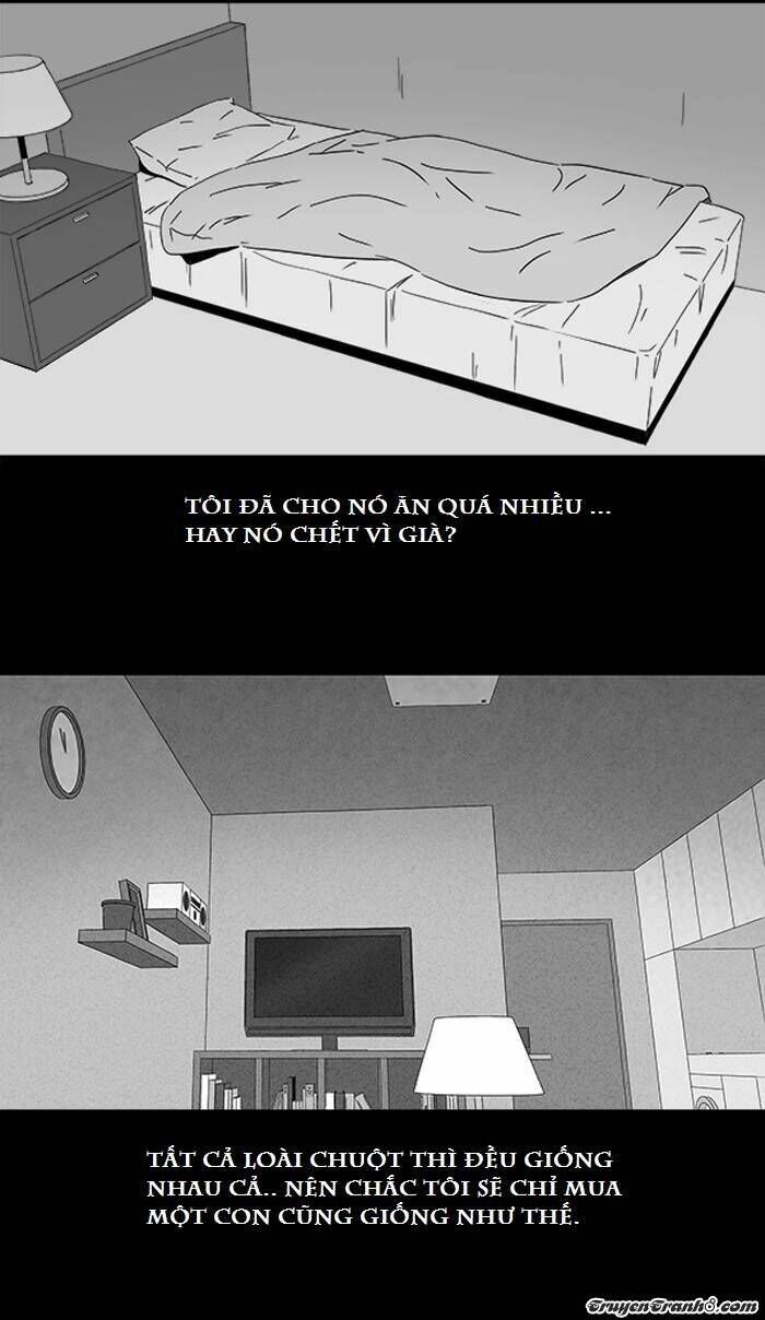 Những Câu Chuyện Bất Thường: Chapter 104