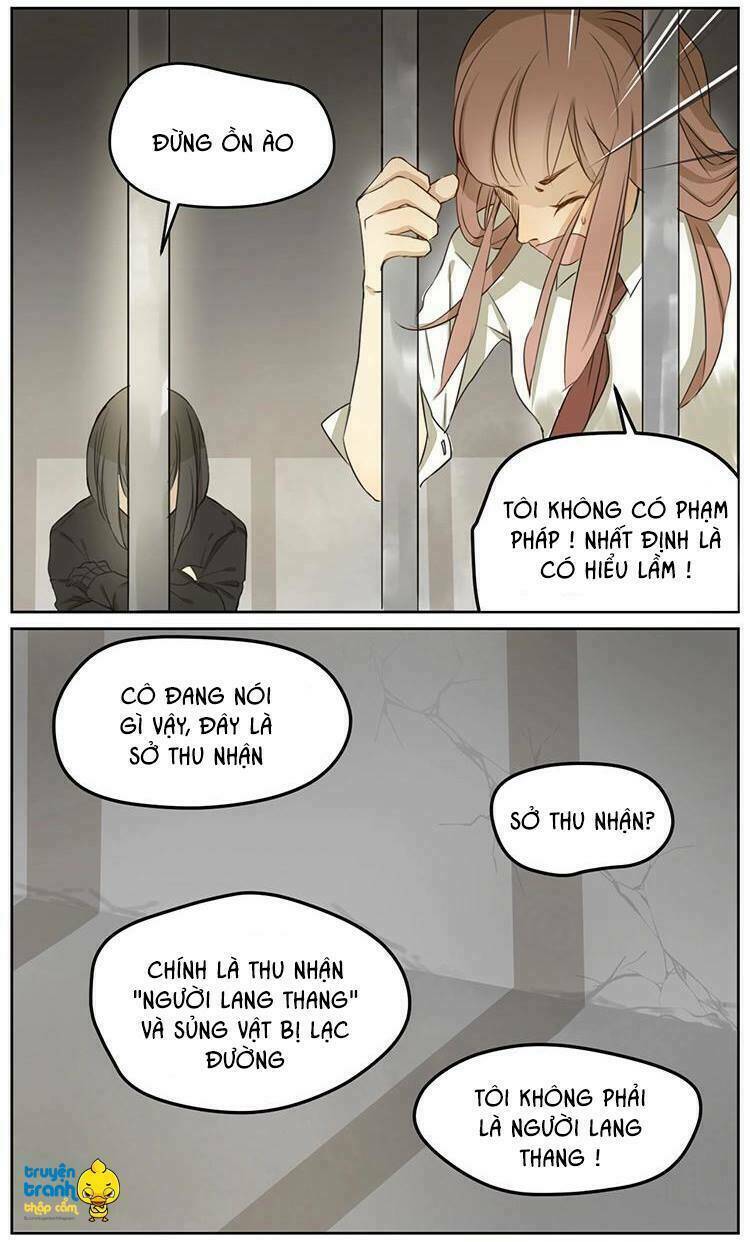 Cứu Mạng! Loài Mèo Thống Trị Thế Giới Rồi!: Chapter 2