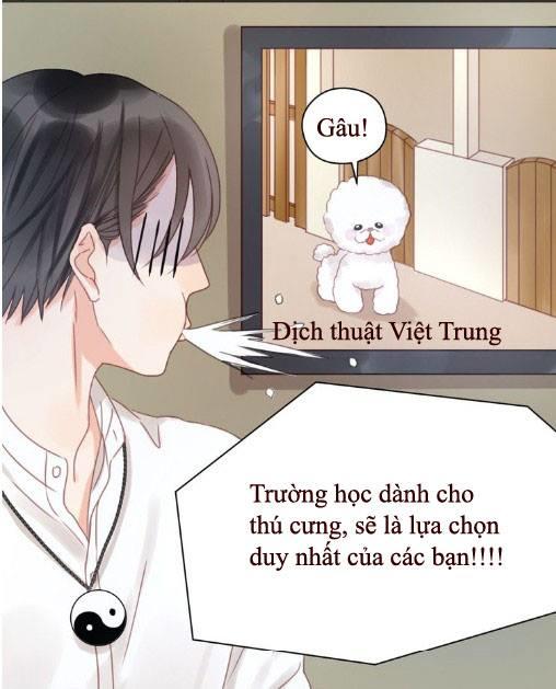 lượm được một tiểu hồ ly: Chapter 6