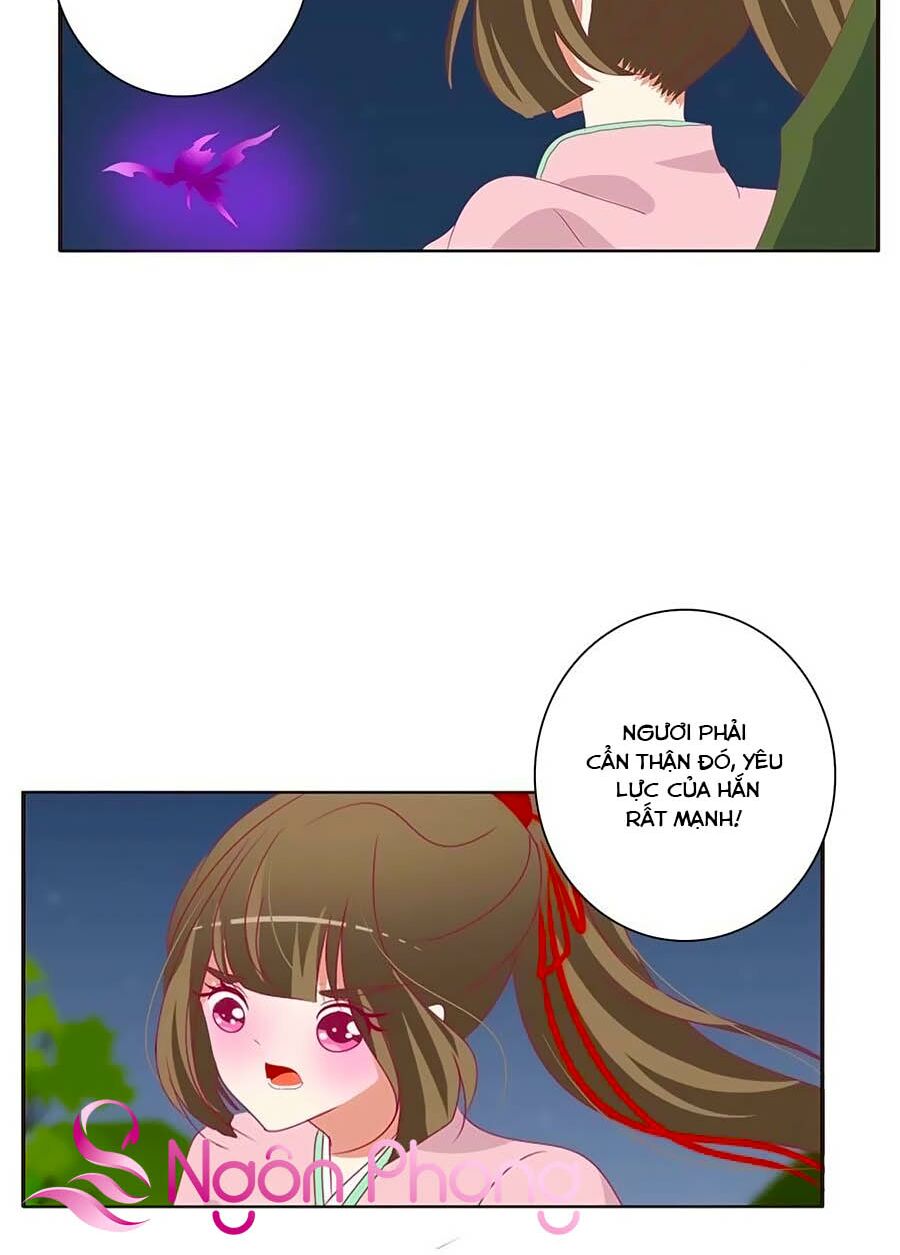 Thông Linh Phi: Chapter 667
