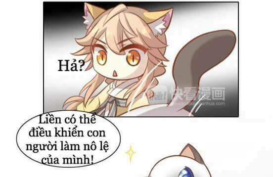Dưới Móng Vuốt Mèo: Chapter 8