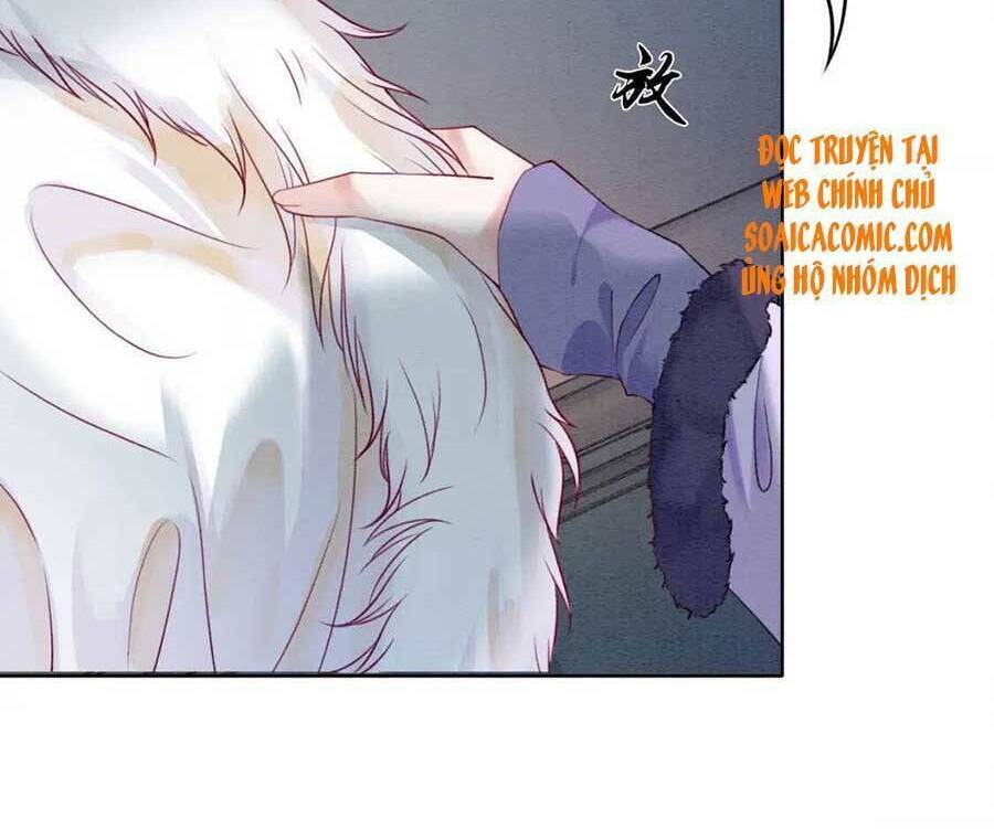 Xung Hỉ Vương Phi: Chapter 77