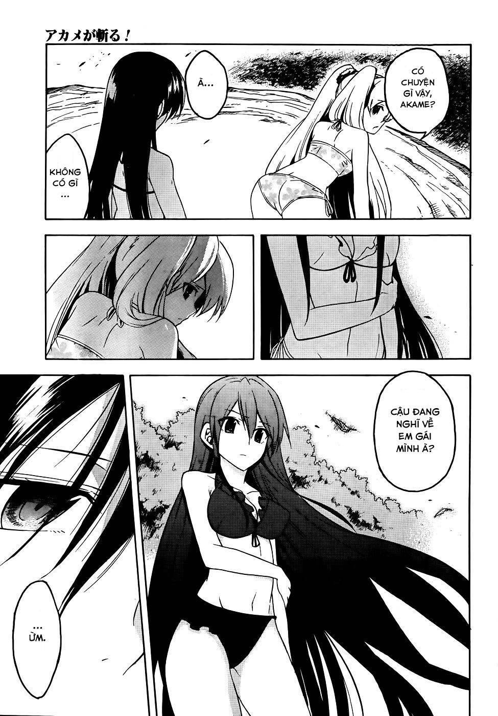 Akame Ga Kiru: Chapter 29