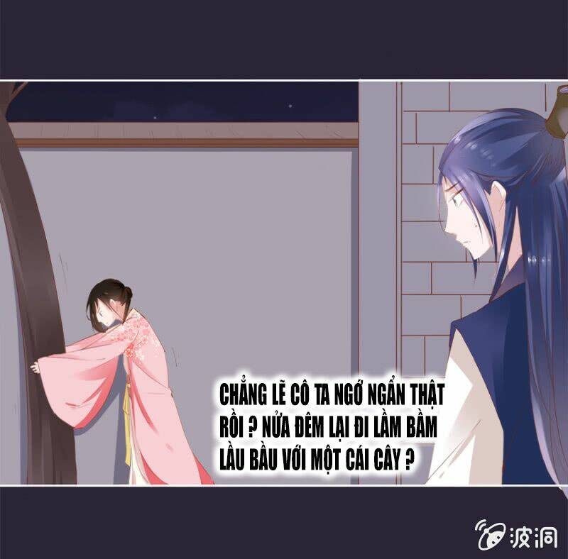 Solo Đi Vương Gia: Chapter 23