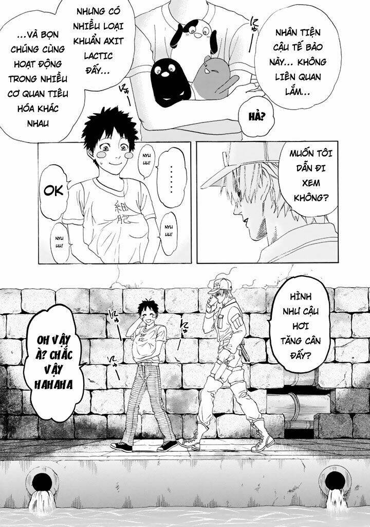 Hataraku Saibou!: Chapter 20