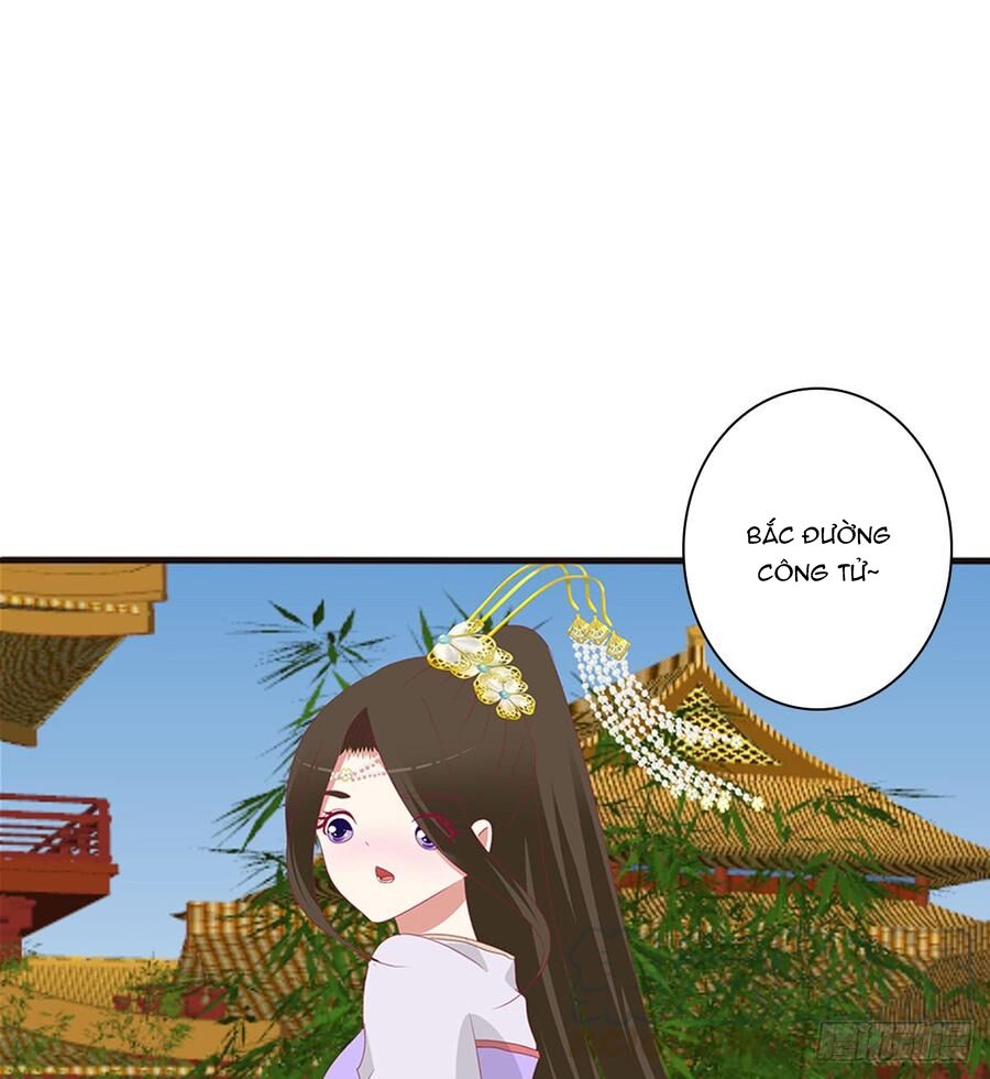 Thông Linh Phi: Chapter 502