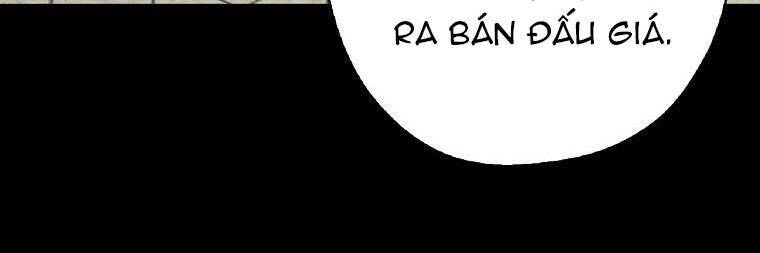 Ba Người Anh Trai Của Tôi Là Bạo Quân: Chapter 66