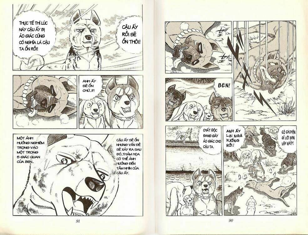 Chú Chó Có Nghĩa - Ginga Nagareboshi Gin: Chapter 19