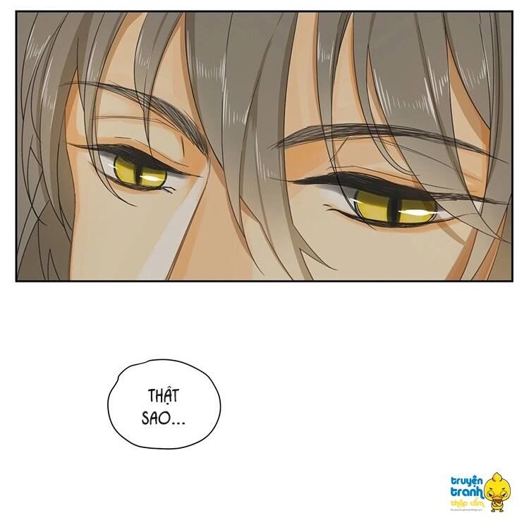 Cứu mạng ! Loài mèo thống trị thế giới rồi !: Chapter 15