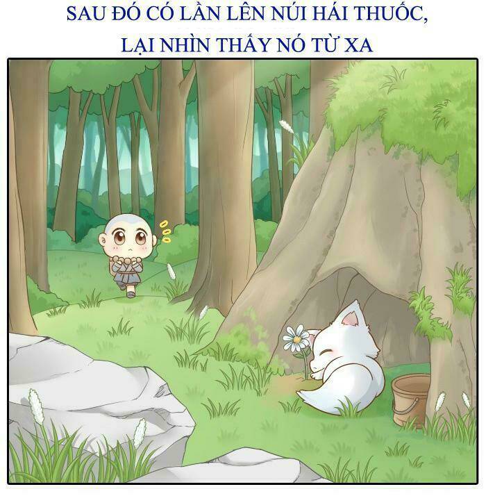 Tiểu Hồ Ly vs Tiểu Hóa Thượng: Chapter 9