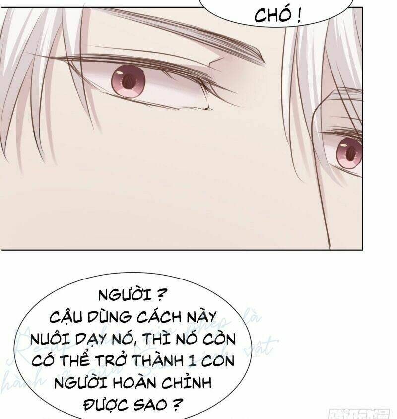 Điều Giáo Gấu Bắc Cực: Chapter 46