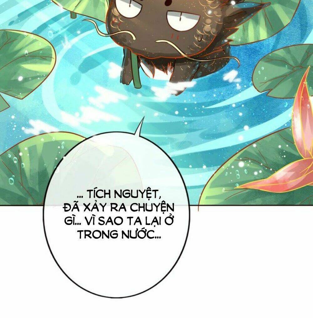 Chọc Nhầm Thượng Thần Băng Lãnh: Chapter 21