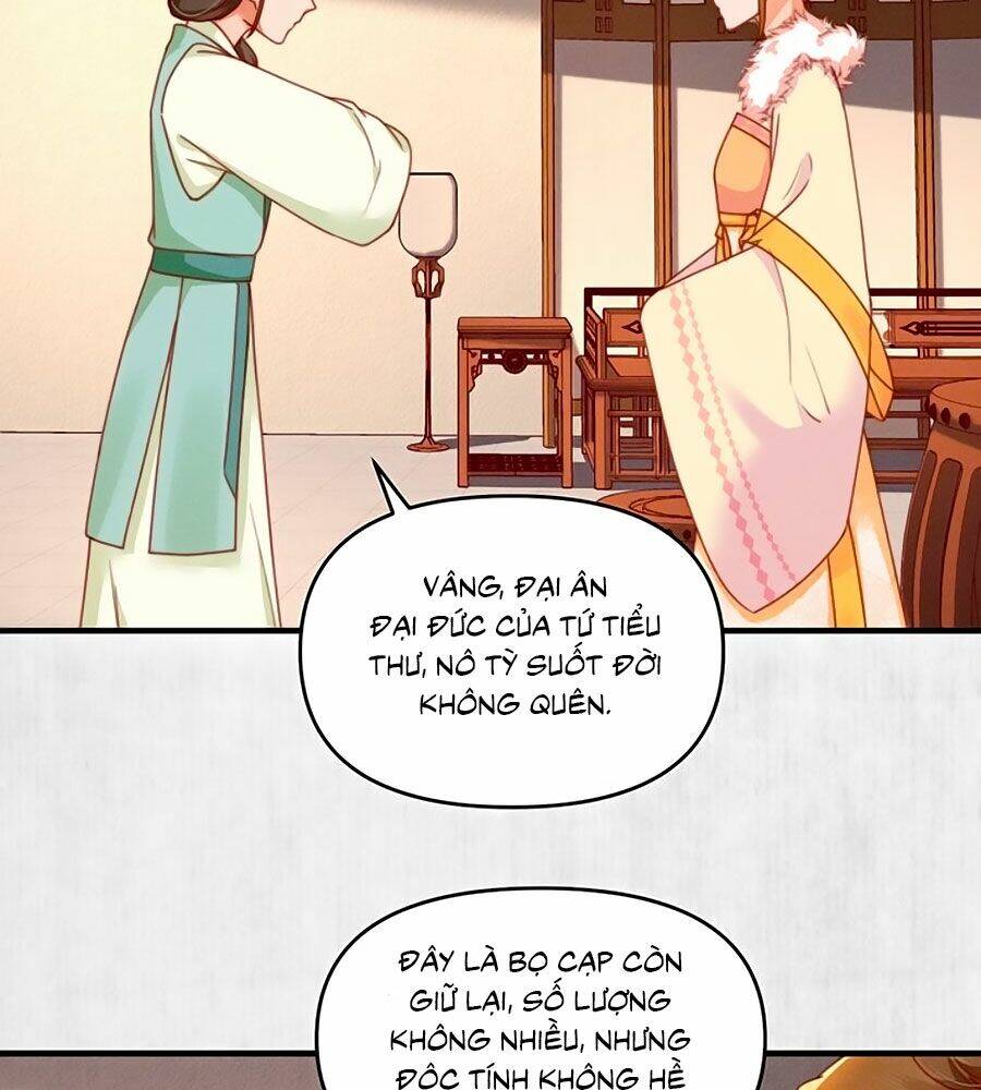 Hoạn Phi Hoàn Triều: Chapter 95