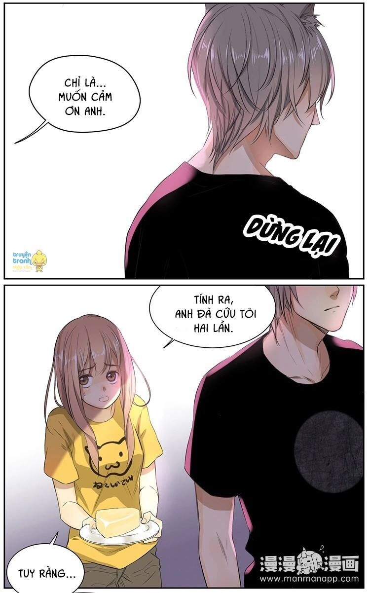 Cứu mạng ! Loài mèo thống trị thế giới rồi !: Chapter 10